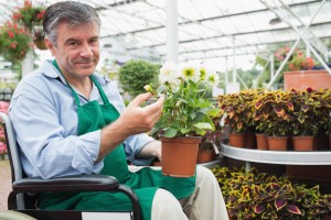 small business health insurance plans colorado